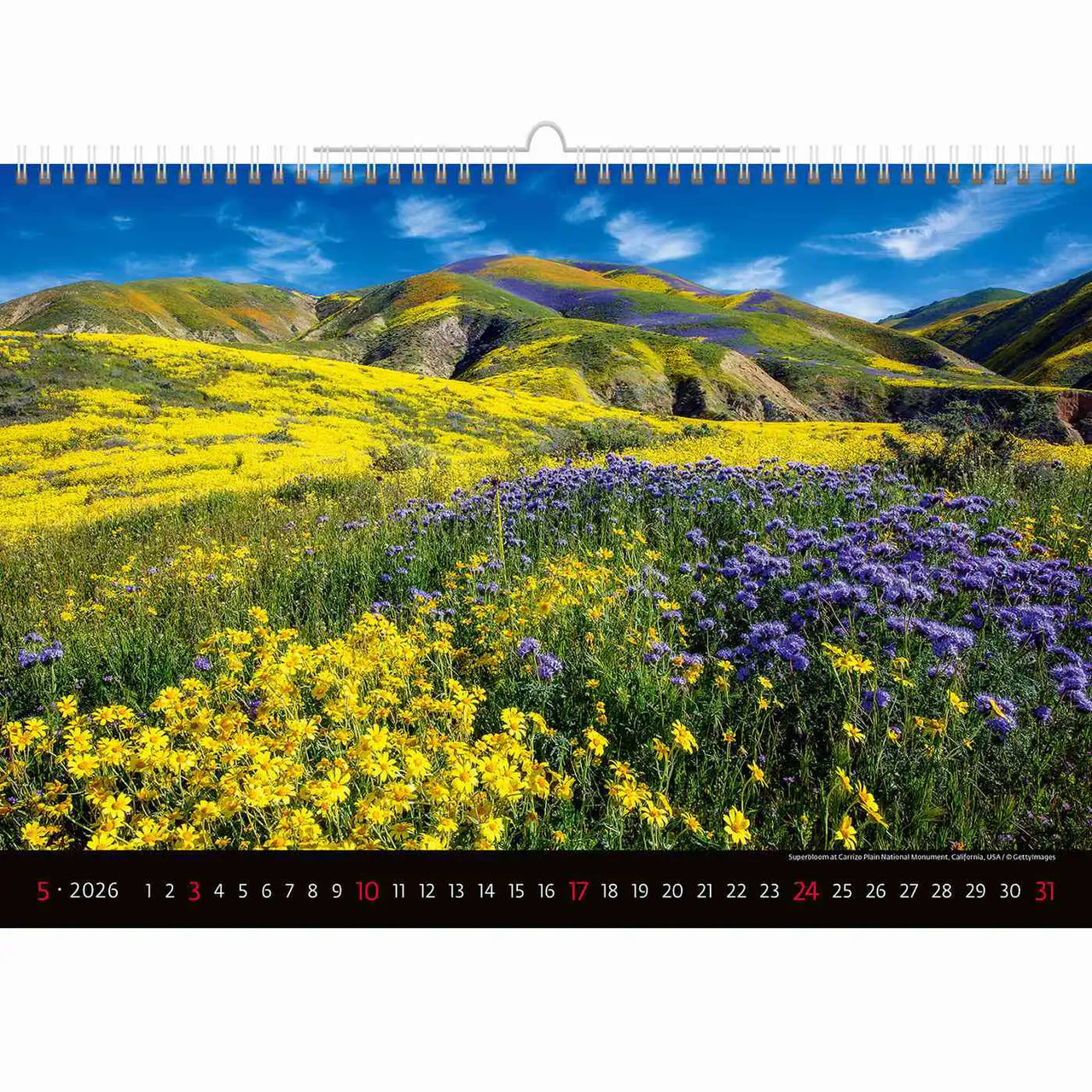 Scenic Landscape Wall Calendar A3+ 2026+