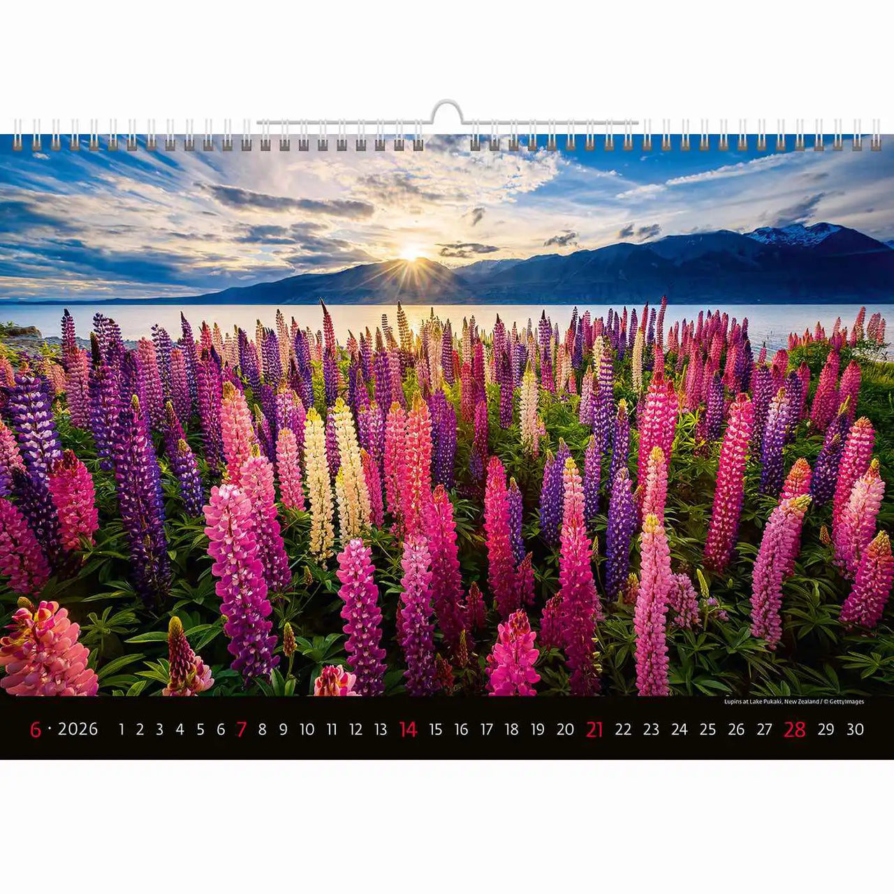 Scenic Landscape Wall Calendar A3+ 2026+