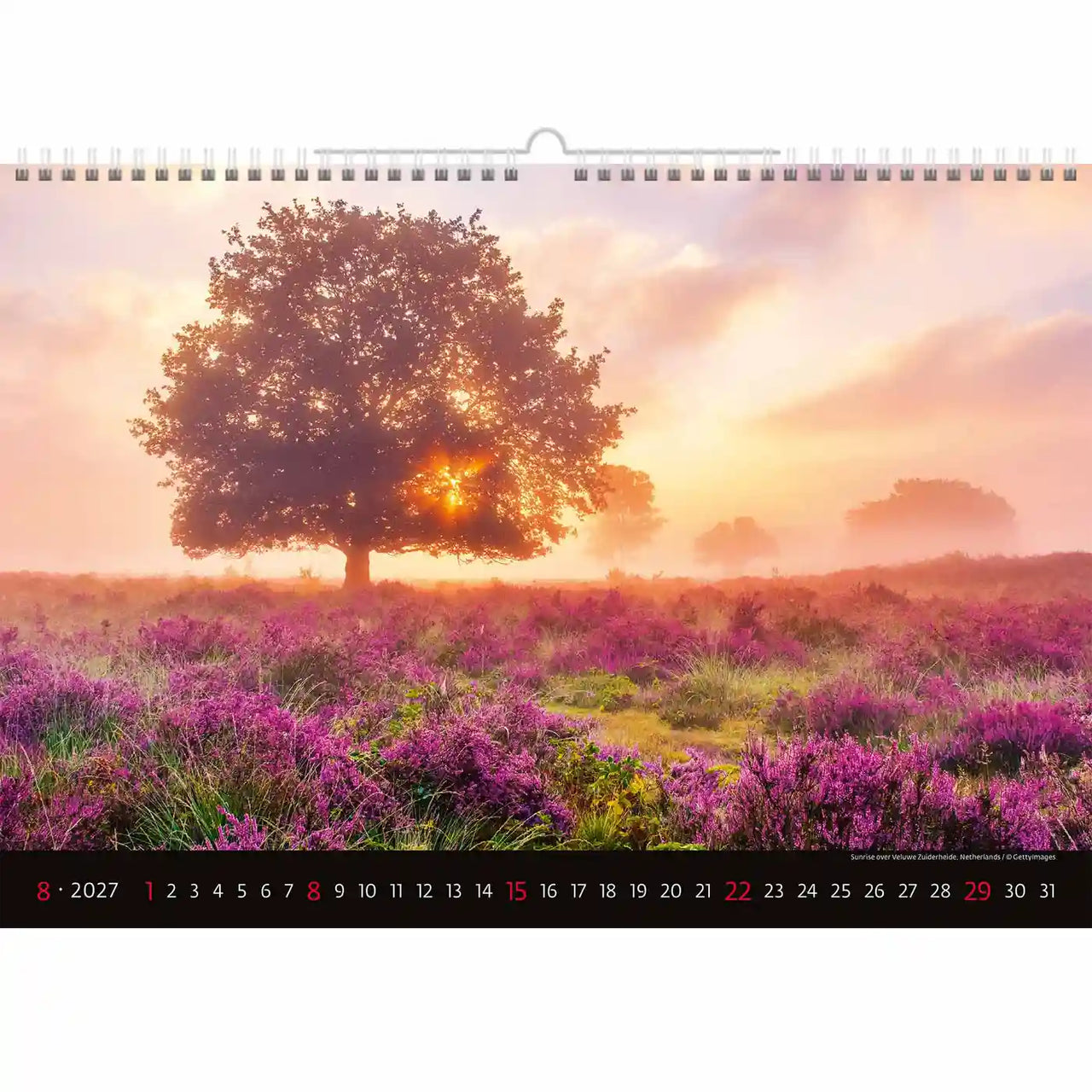 Kalender met een schilderachtig landschap van een boom en paarse bloemen bij zonsondergang.