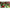 Garden scènes muurkalender A3+ 2026+