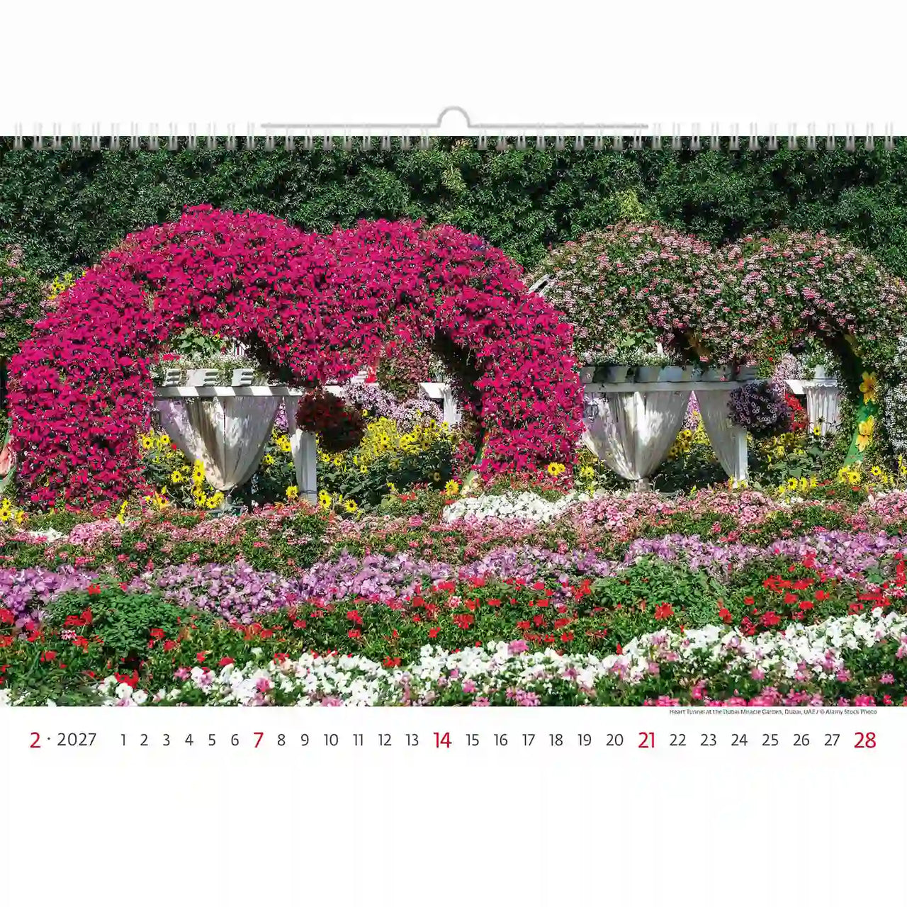 Tuintaferelen Wandkalender A3+ 2026+