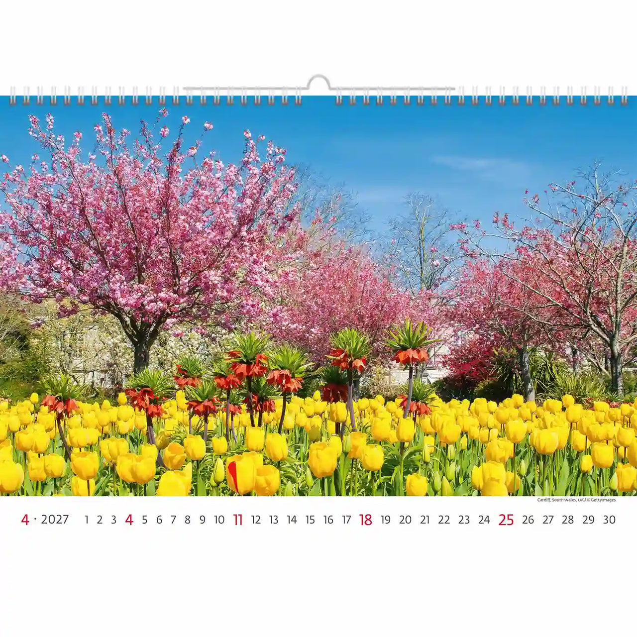 Tuintaferelen Wandkalender A3+ 2026+