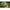 National Parks Photo Calendar A3+ 2026+
