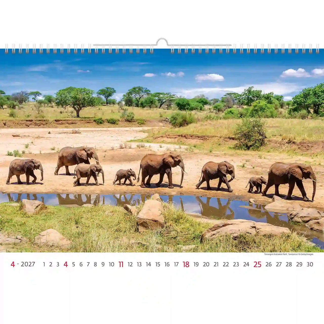 Kalender met een schilderachtig zicht op olifanten die langs een rivier lopen in een savannelandschap.