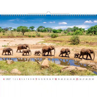 Kalender met een schilderachtig zicht op olifanten die langs een rivier lopen in een savannelandschap.