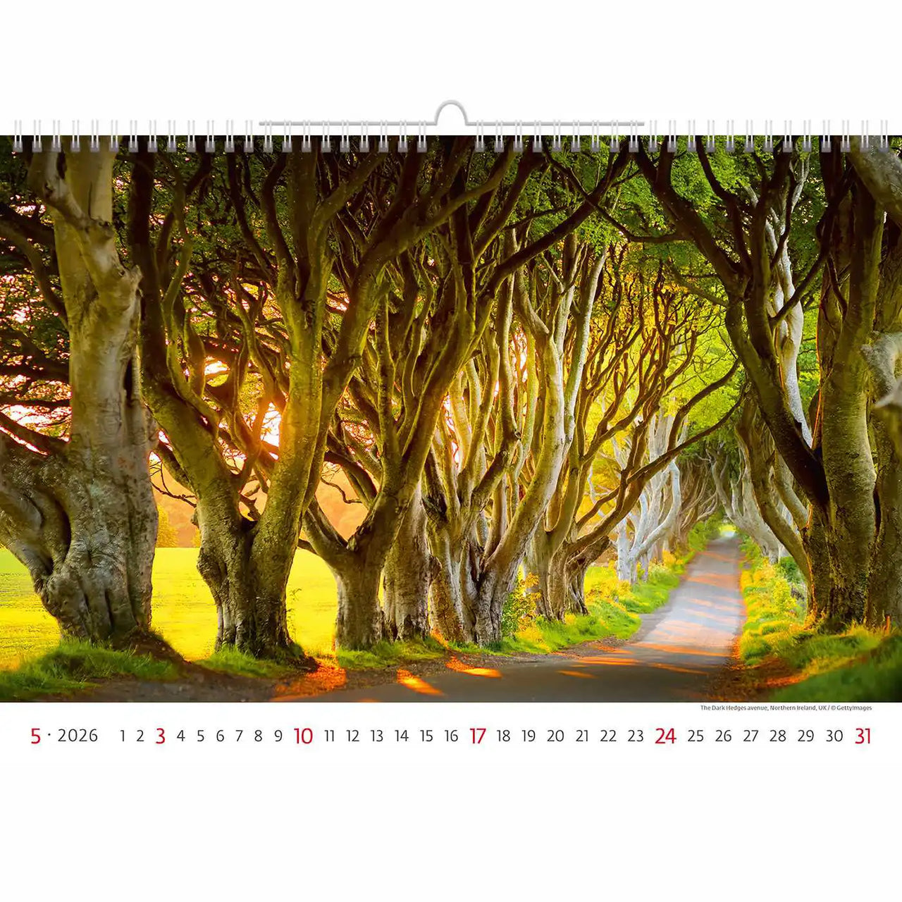 Via Travel Route Calendar A3+ 2026+