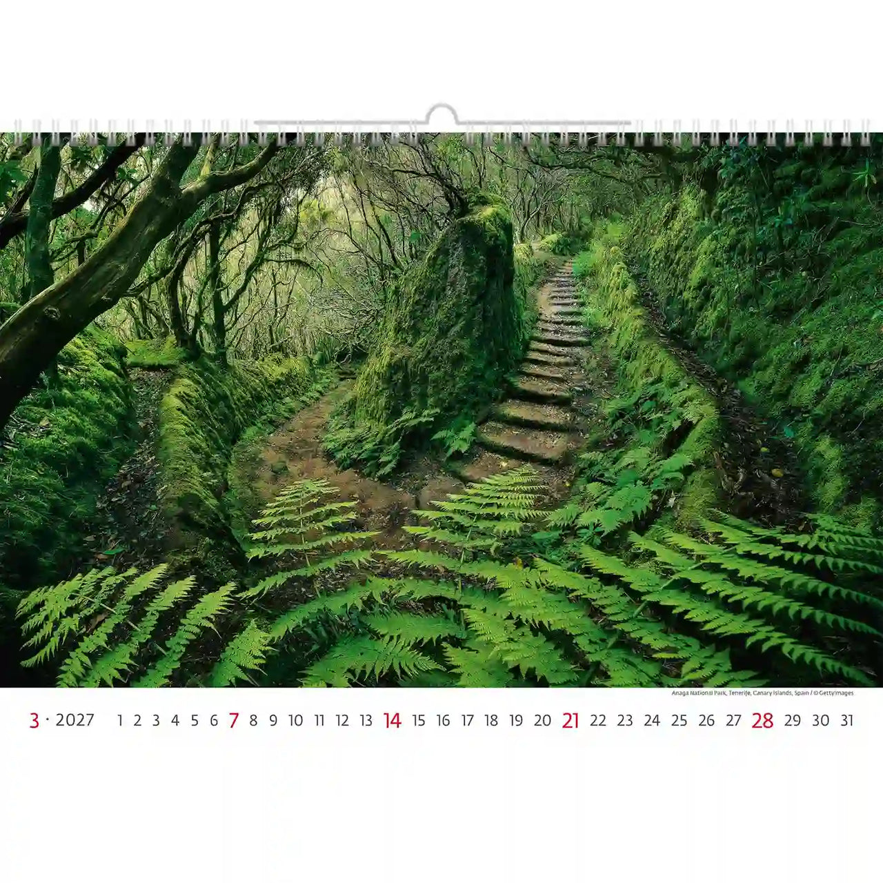 Kalender met een schilderachtig uitzicht op een bospad en groen