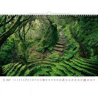Kalender met een schilderachtig uitzicht op een bospad en groen