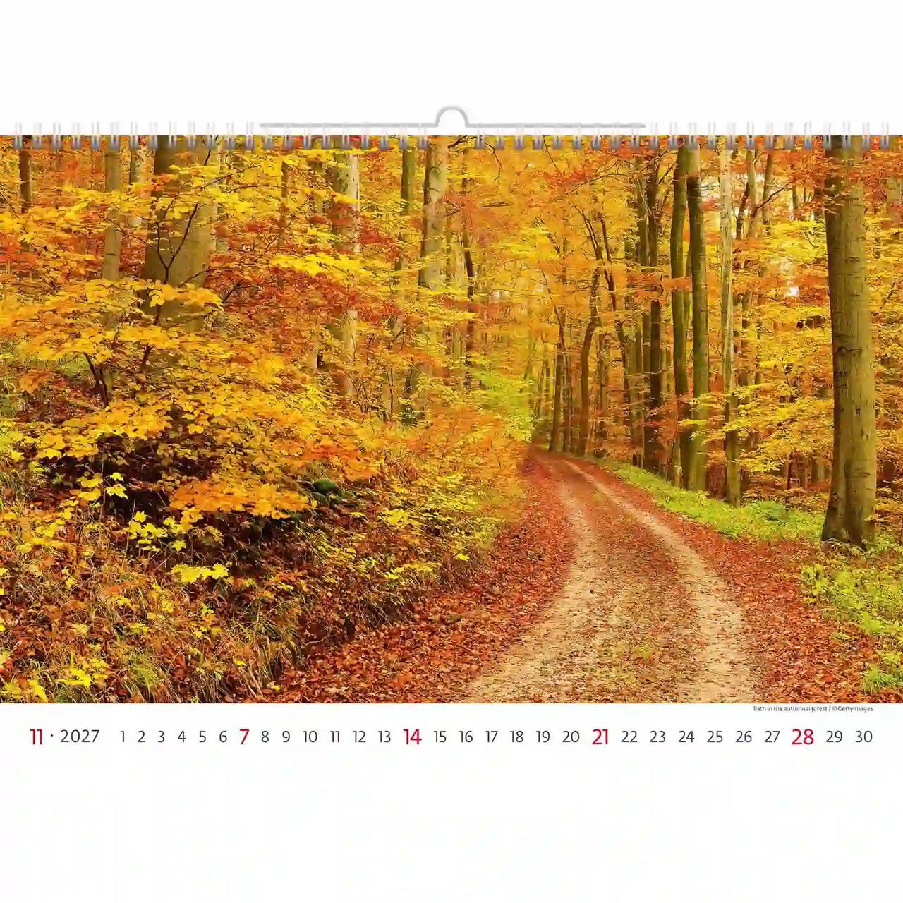 Kalender met een herfstbostafereel met een pad en kleurrijk gebladerte.