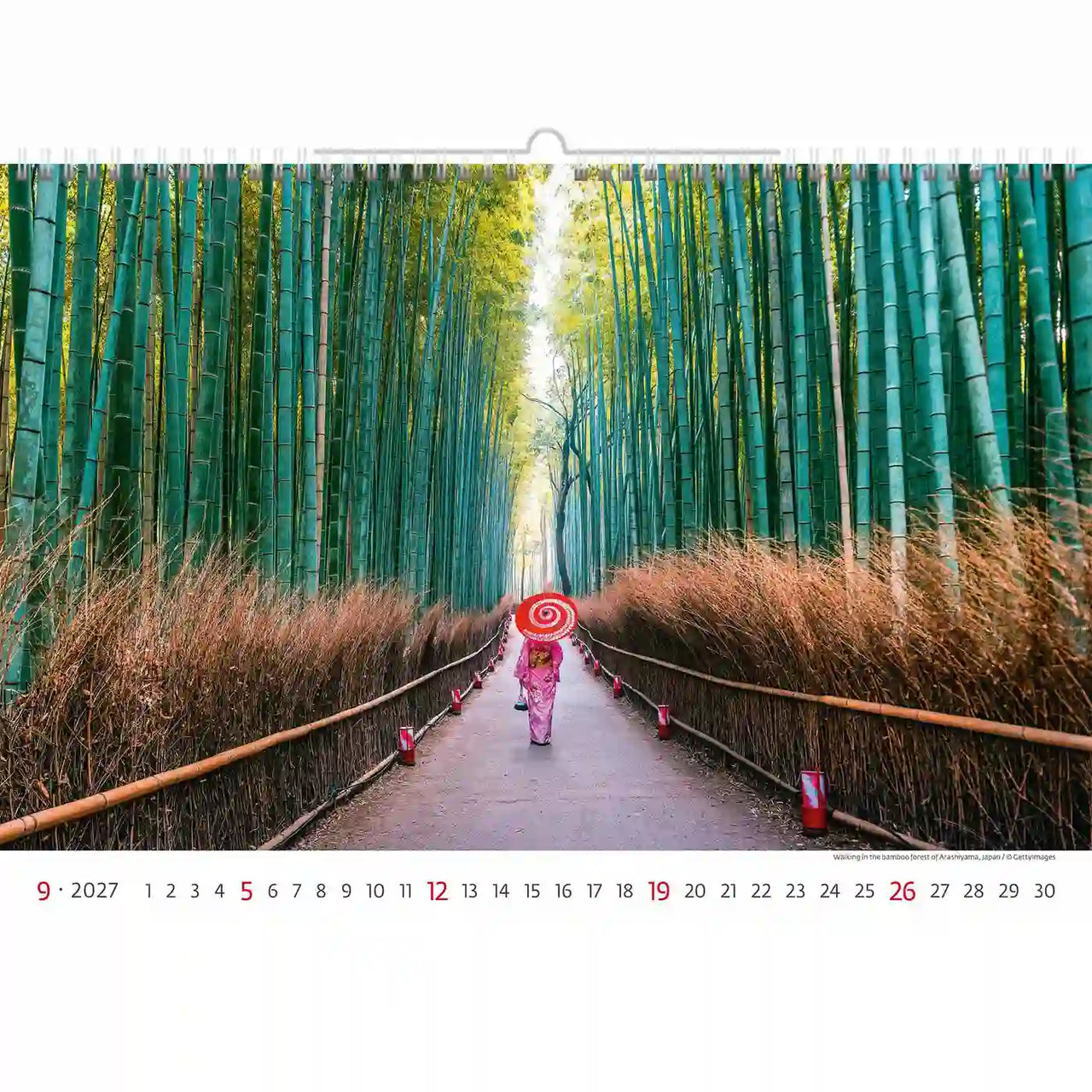 Kalender met een schilderachtig bamboebos en een persoon met een paraplu-ontwerp