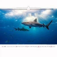 Deep Blue Wildlife kalender A3+ 2026+