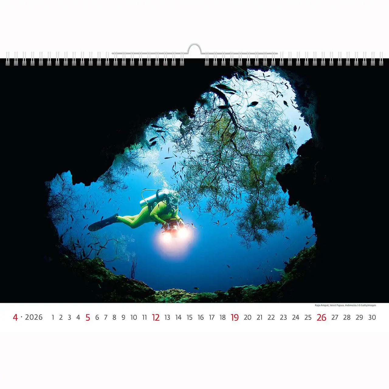 Deep Blue Wildlife kalender A3+ 2026+