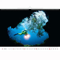 Deep Blue Wildlife kalender A3+ 2026+