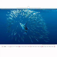 Deep Blue Wildlife kalender A3+ 2026+