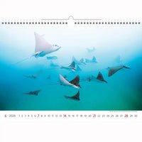 Deep Blue Wildlife kalender A3+ 2026+