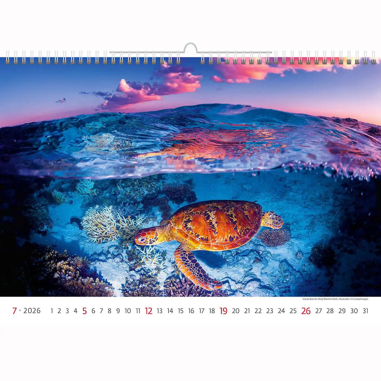 Deep Blue Wildlife kalender A3+ 2026+