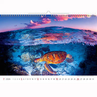 Deep Blue Wildlife kalender A3+ 2026+