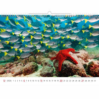 Deep Blue Wildlife kalender A3+ 2026+