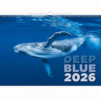 Deep Blue Wildlife kalender A3+ 2026+