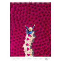 Luftaufrufe Kalender A3+ 2026+