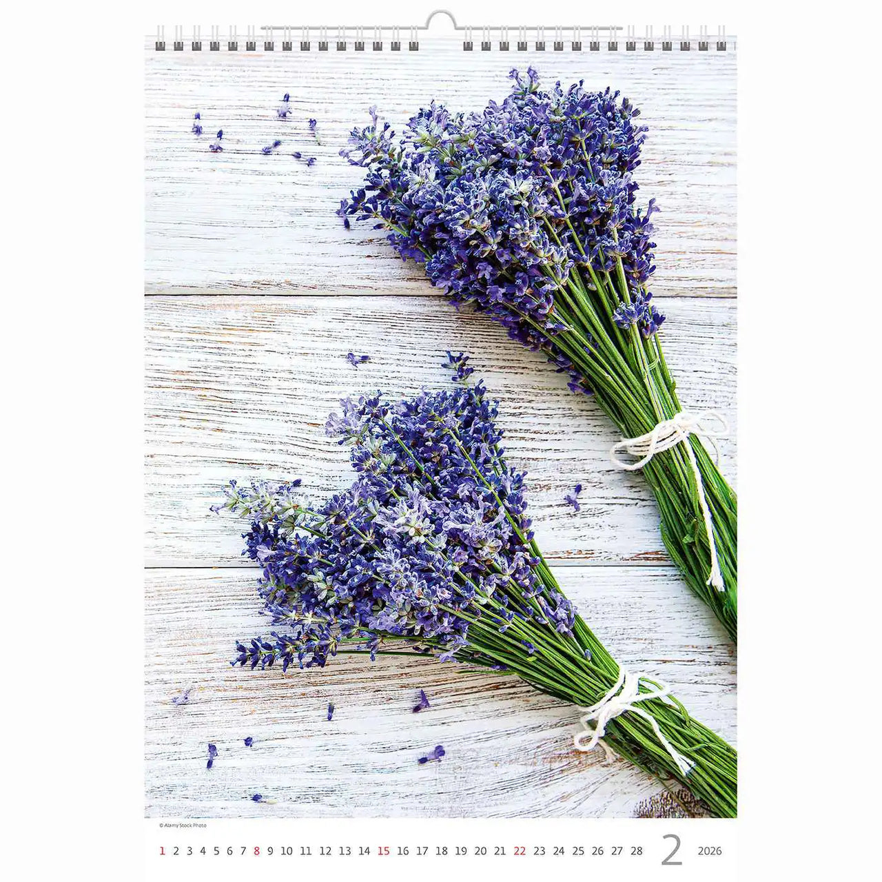 Purple in Provence Calendar A3 + 2026+