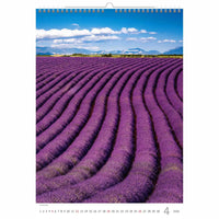 Purple in Provence Calendar A3 + 2026+