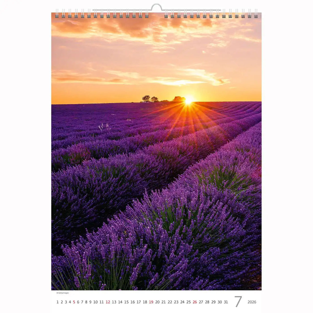 Purple in Provence Calendar A3 + 2026+