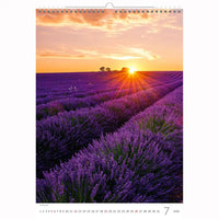 Purple in Provence Calendar A3 + 2026+