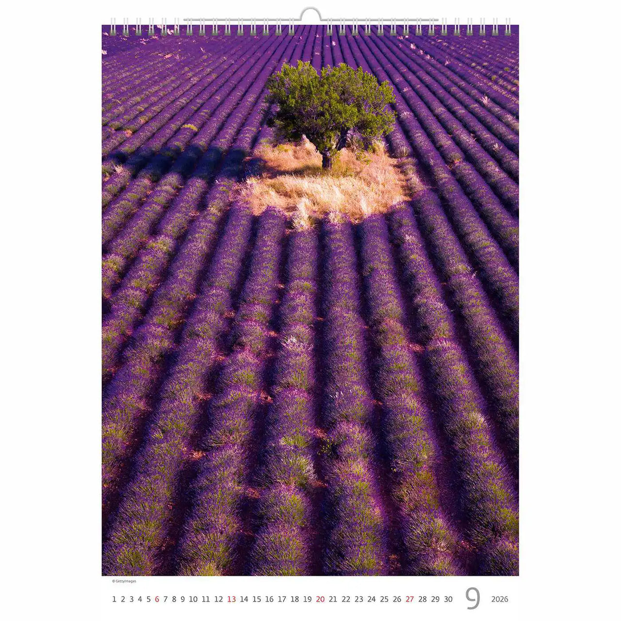 Purple in Provence Calendar A3 + 2026+