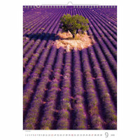 Purple in Provence Calendar A3 + 2026+