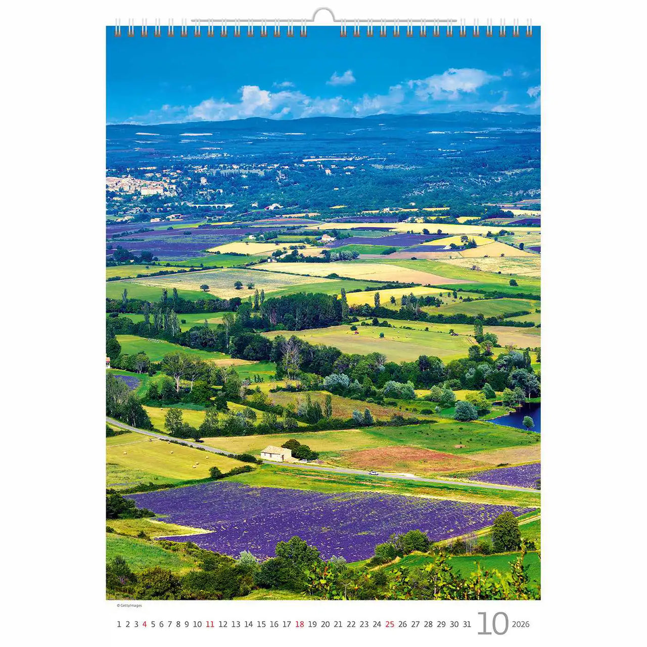 Purple in Provence Calendar A3 + 2026+