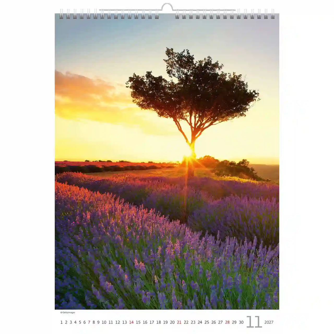 Kalender met een schilderachtig landschap van een boom in een lavendelveld bij zonsondergang.