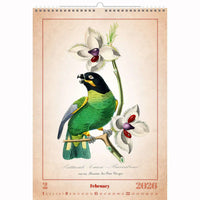 Alte Vogelzeichnungen Kalender A3+ 2026+