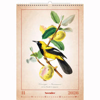 Alte Vogelzeichnungen Kalender A3+ 2026+