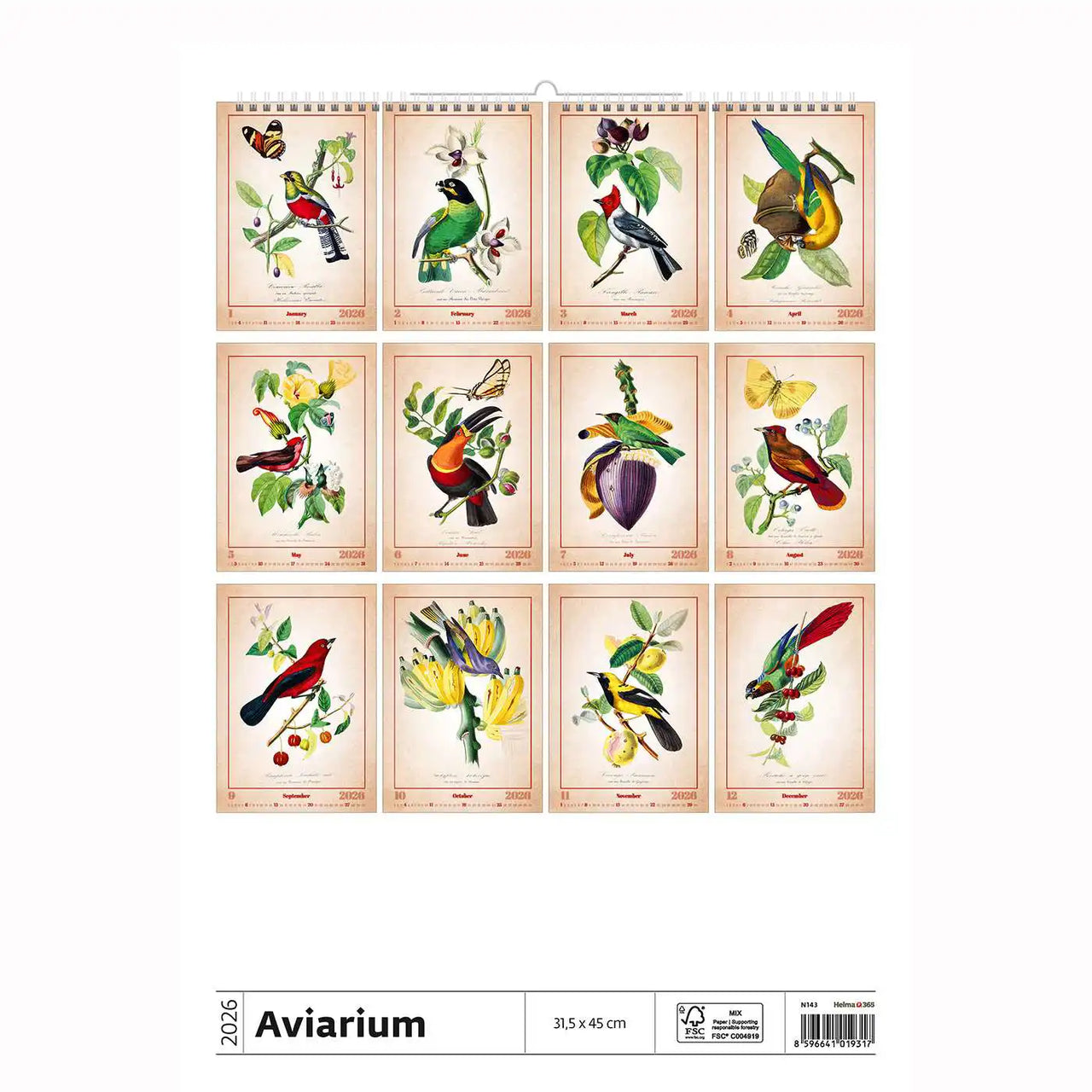 Alte Vogelzeichnungen Kalender A3+ 2026+