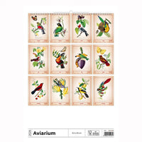 Alte Vogelzeichnungen Kalender A3+ 2026+