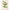 Botanische herbariumkalender A3+ 2026+