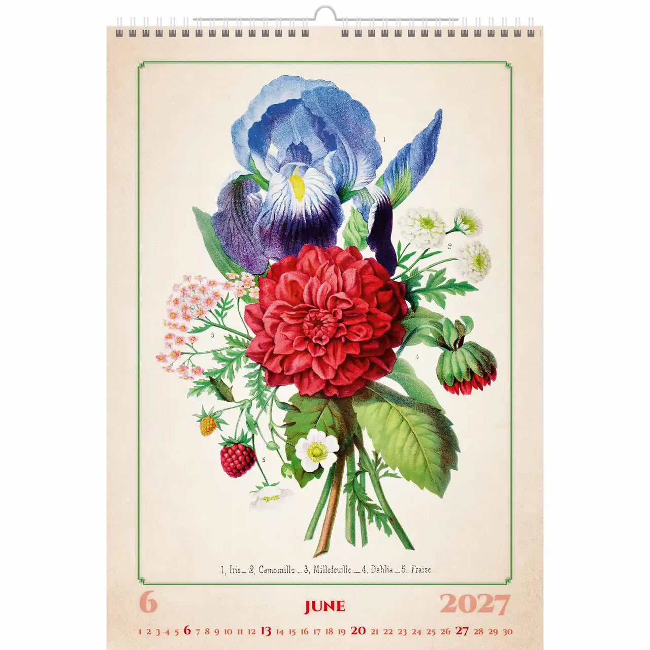 Bloemmotief op een kalender voor juni 2027 met een vintage esthetiek.