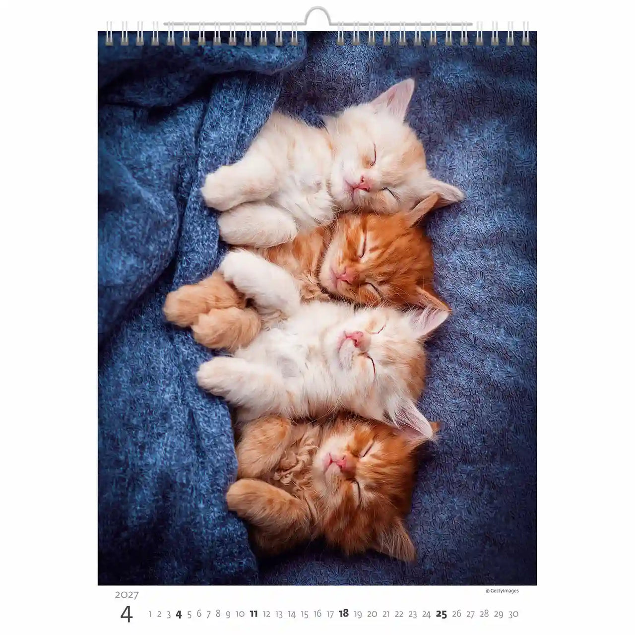 Vier kittens slapen op een blauw gestructureerd oppervlak, waarschijnlijk van een kalender.