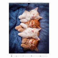Vier kittens slapen op een blauw gestructureerd oppervlak, waarschijnlijk van een kalender.