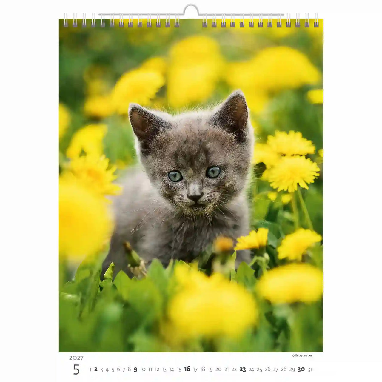 Kalenderpagina met een kitten in een veld met gele bloemen