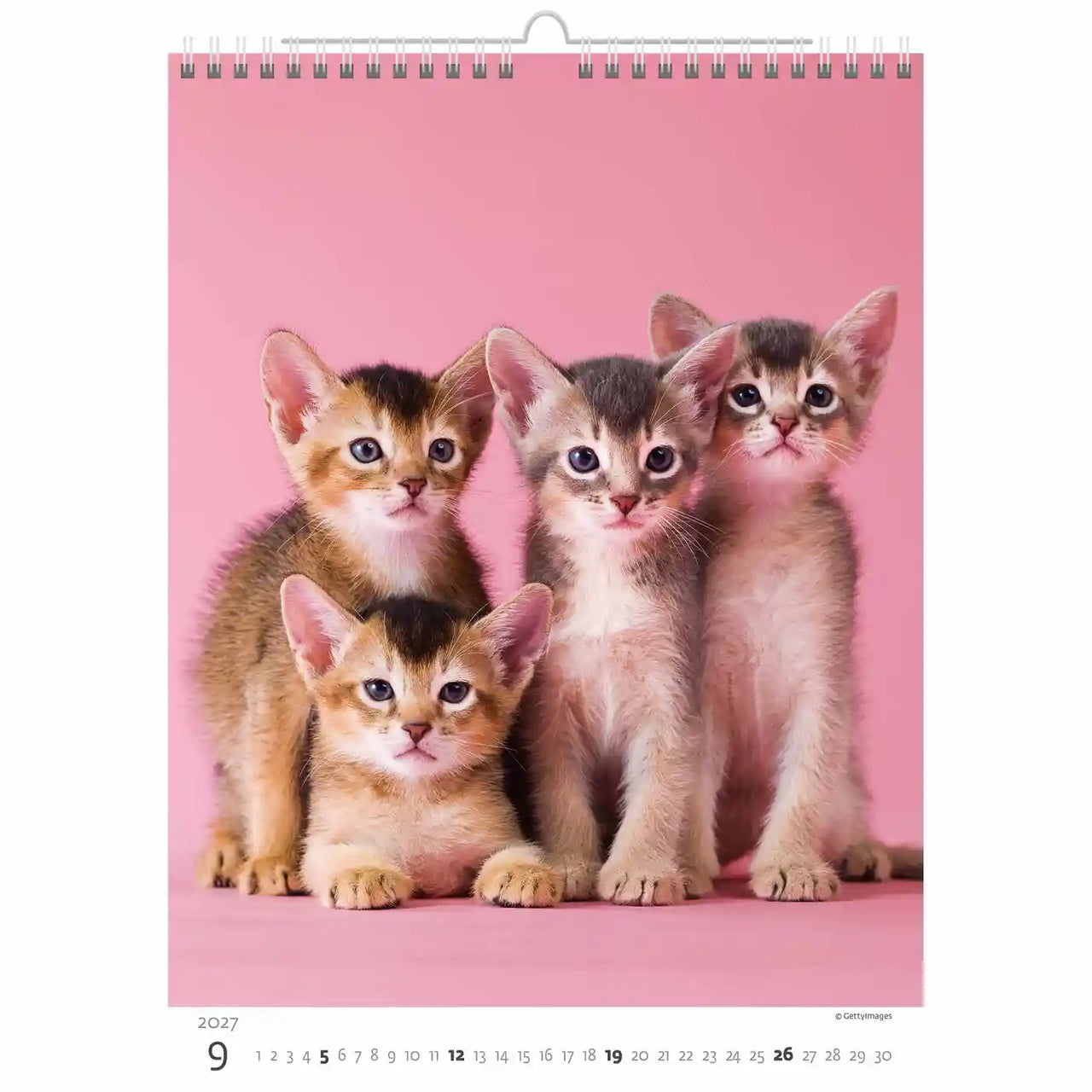 Kalenderpagina met vier kittens op een roze achtergrond