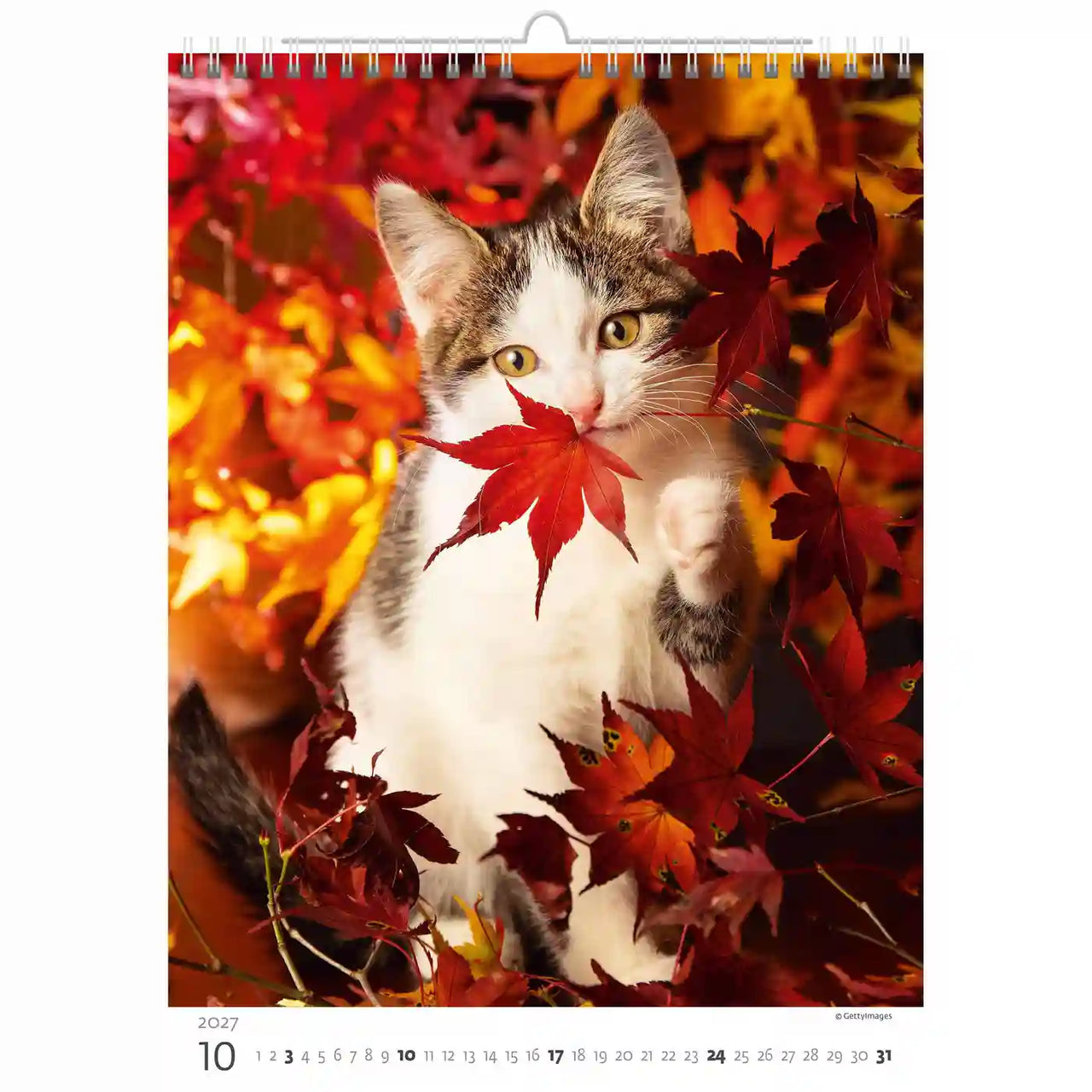 Kat omringd door herfstbladeren op een kalenderpagina