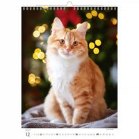 Kalenderpagina met een kat zittend op een deken tegen een feestelijke achtergrond met verlichting.