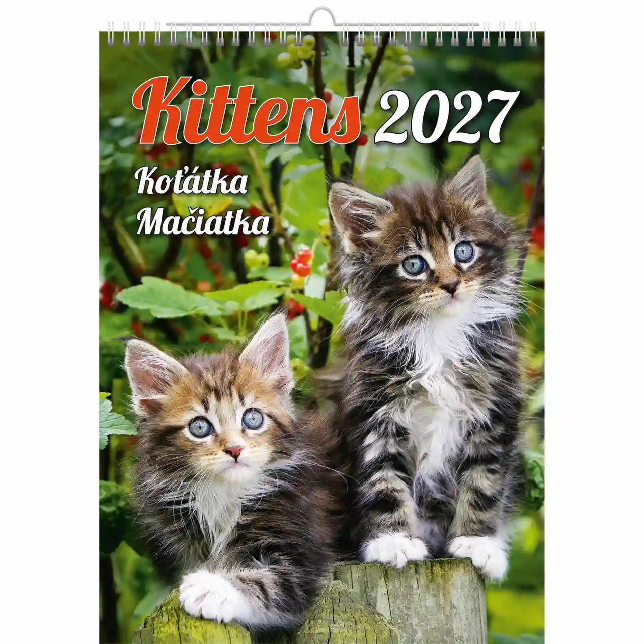 Kalenderomslag met twee katjes op een houten paal, met de tekst 'Kittens 2027' en meerdere vertalingen.