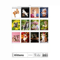 Kalender met afbeeldingen van kittens op een witte achtergrond