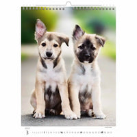 Twee puppy's zitten samen op een kalenderpagina.
