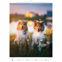 Twee honden staan in een veld met een zonsondergang op de achtergrond op een kalenderpagina.