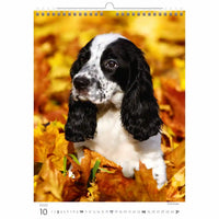 Hond op een kalender met herfstbladeren