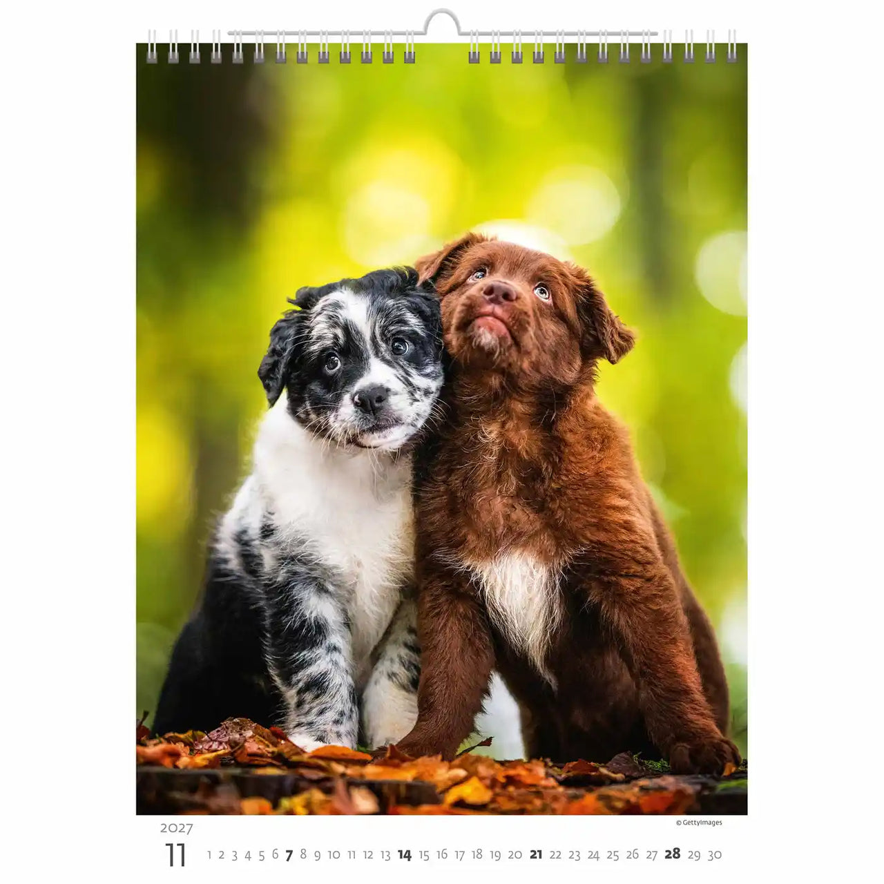 Kalenderpagina met twee knuffelende puppy's, één zwart-wit, één bruin, tegen een wazige groene achtergrond.